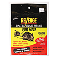 MOUSE GLUE TRAPS  - 4 PACK