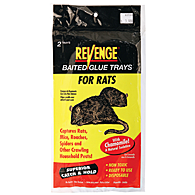 RAT GLUE TRAP - 2 PACK