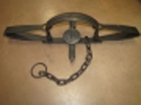Bear Traps