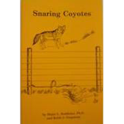 SNARING COYOTE