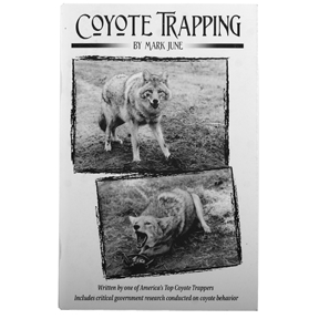 COYOTE TRAPPING