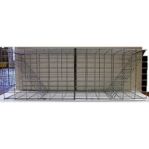 Colony Traps