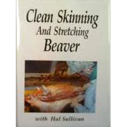 CLEAN SKINNING AND STRETCHING BEAVER