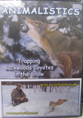 ANIMALISTICS - TRAPPING BACKWOODS COYOTES IN THE SNOW