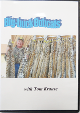 BIG BUCK BOBCATS