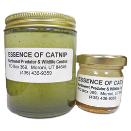 ESSENCE OF CATNIP