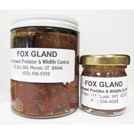 FOX GLAND