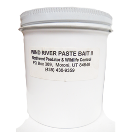 WIND RIVER PAST BAIT II