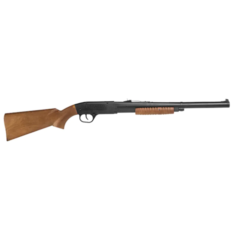 Daisy Model 12 Youth Pump BB Gun