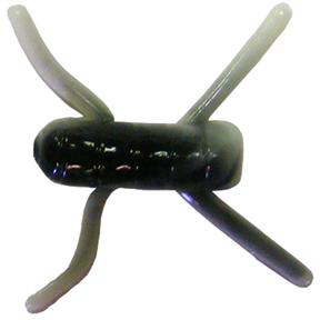 Arkie Fiddle Legs DISCONTINUED