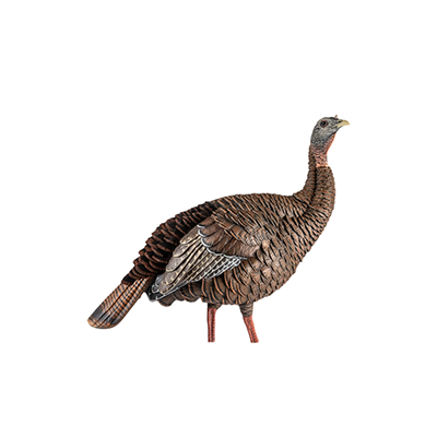 Avian-X HDR Hen Turkey Decoy