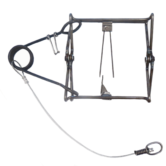 Belisle 150 (Single Spring) Body Grip Trap