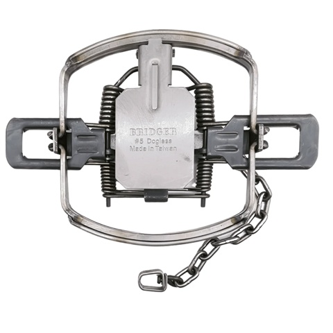 Bridger #5 Coilspring Offset Dogless Laminated Trap