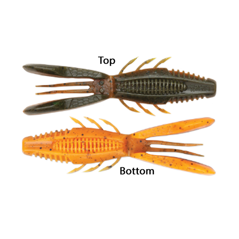 Rapala Crush City Bronco Bug