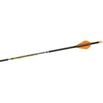 Carbon Express Mayhem DS Arrows