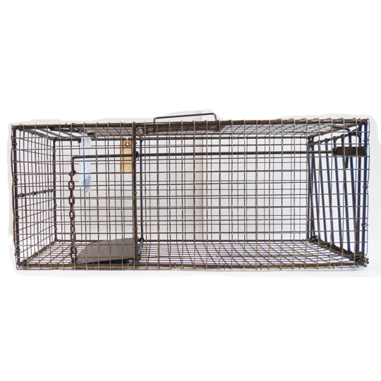 Marten Live Trap, also suitable for catching raccons, cats & nutria