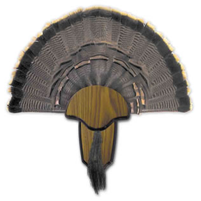 H.S. Strut Turkey Tail & Beard Mounting Kit