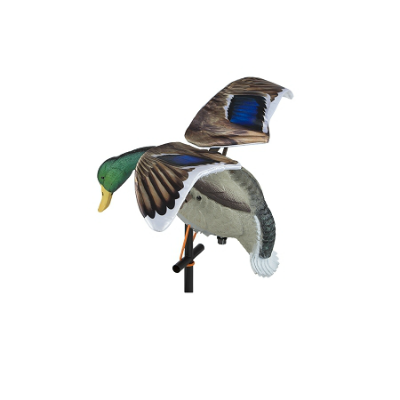 Duck The Snare Shop