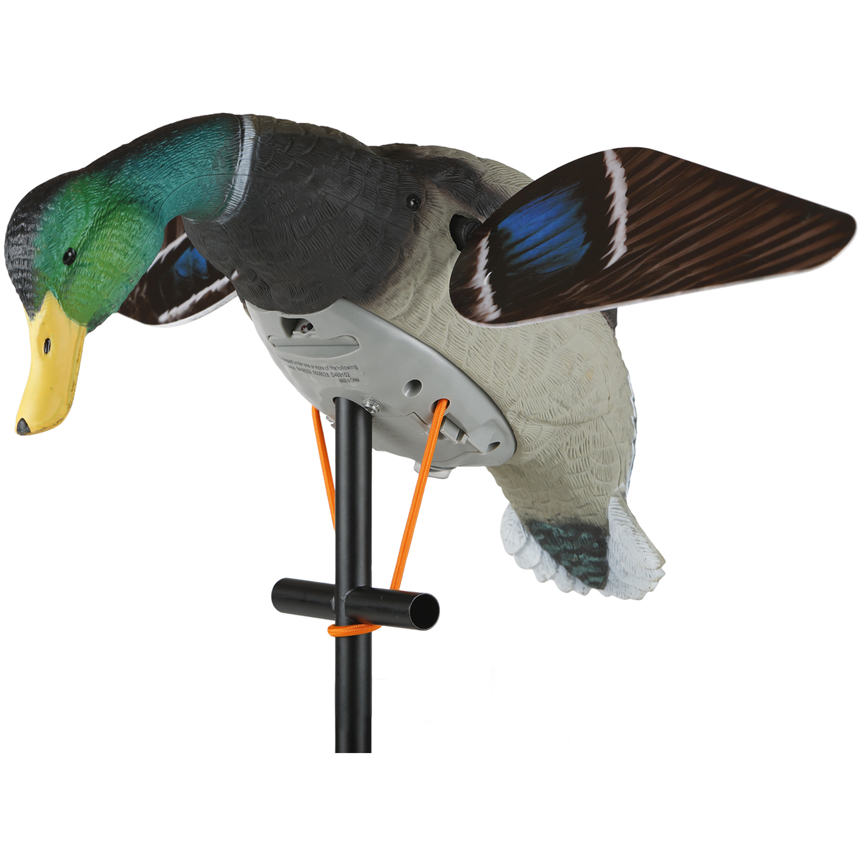 Lucky Duck Lucky HD Mallard The Snare Shop lucky-duck-lucky-hd-mallard-the-snare-shop