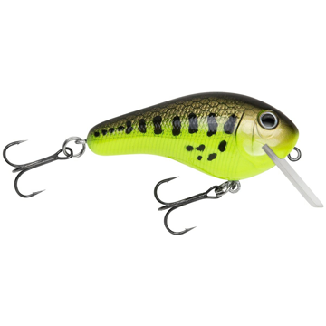 Bagley Rattlin' Kill'r B