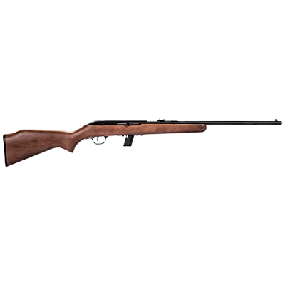 Savage 64G .22 LR Semi Auto Rifle