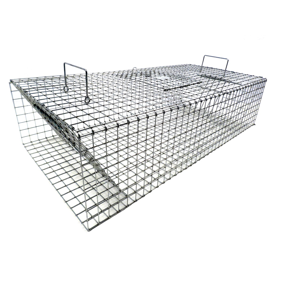 Tomahawk Pigeon Trap